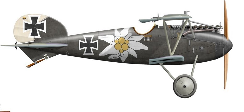 Help WW1 Aviation Heritage Trust Bring back the Albatros DVa and SE5a from NZ in 2018